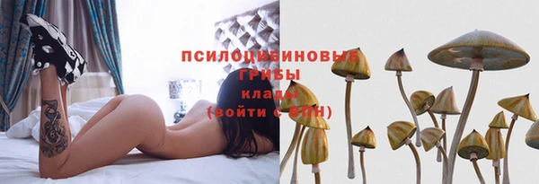 сатива Абдулино