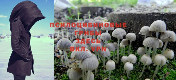 эйфоретик Арсеньев